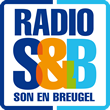 Radio Son en Breugel